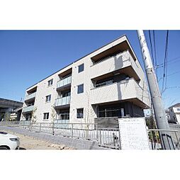 グレイスジャスティ