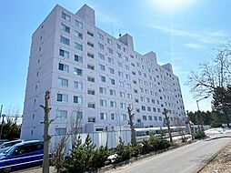 エスセーナ春光