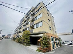 シュヴァルブラン白馬