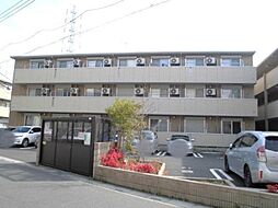 メルヴェーユ花水木1