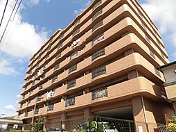 サントノーレ一宮