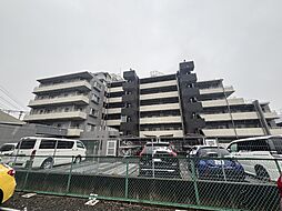 アデニウム越谷