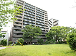 サーパス宮崎セントマークス