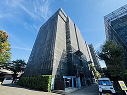 光が丘パークタウンゆりの木通り南1 6 1