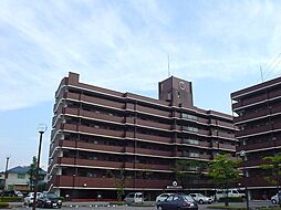 信開アーバンシティキングス