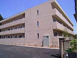 マンションプラチードグランデ