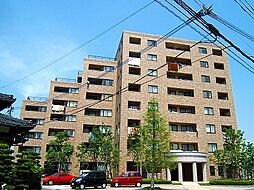 Foro　Romano（フォロロマーノ）