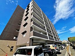 エヴァーグリーンQ