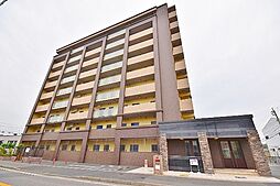 エヴァーグリーンO