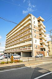 エヴァーグリーンＮ