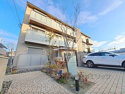 Ｓｈａ　？ａｉｓｏｎ　ＳＴＥＬＬＡ