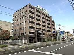 ナイスエスアリーナ横濱立場