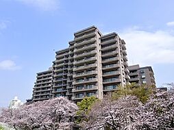 パークハウス多摩川北参番館