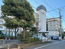 アイビハイツ調布