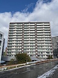 クルーザーバレー札幌プレミアム