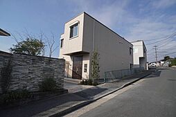 フロントマーレ