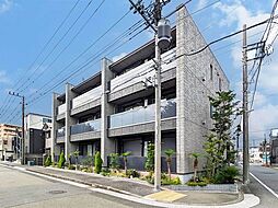 コリーナステラータ