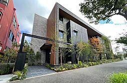 メゾン　ジャパネスク