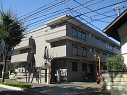 コーカスS