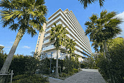 ルピアグランデ柏