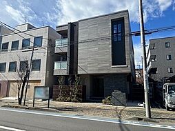 サンスベリア大和