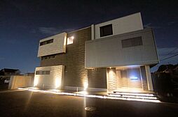 Ｓｈａｍａｉｓｏｎ　Ｅｂｉｎａ　II