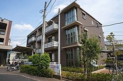 セルディーナ・Ｍ