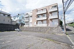 Ｇｒａｃｅ　ｃｏｕｒｔ