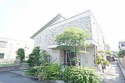 コラージュステラ