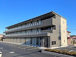 ライリ
