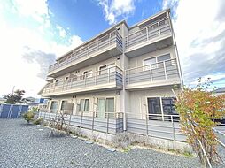 セルディーナＹＳ