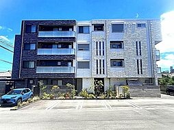 ｓｈａｍａｉｓｏｎ　Ｒｙｕｊｕ