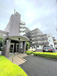 ミューアダマスグランテ