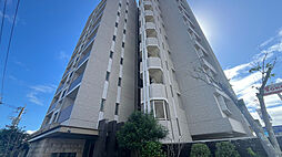 オーヴィジョン柳丸