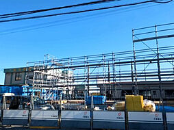 ピュアスプリング