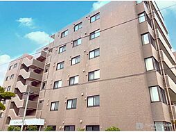 ジェネラス保戸野