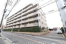 ルピナスかしわ台