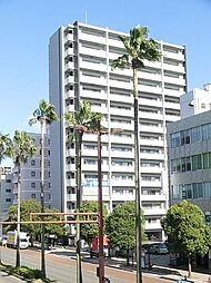 サーパス橘通東