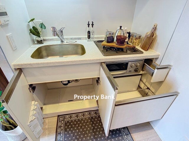 ザ・パークハウス上野