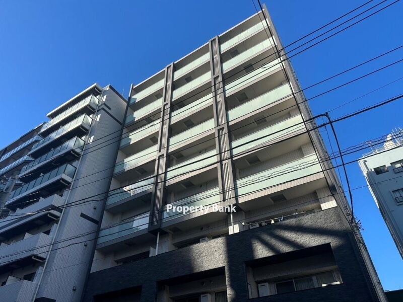 ステラマリス