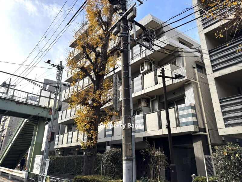コンフォリア目黒八雲