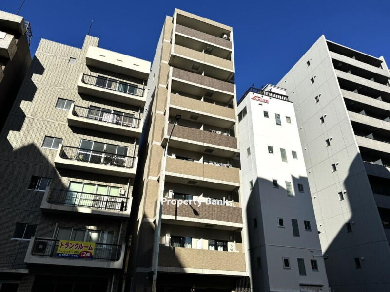 プラムツリー神楽坂