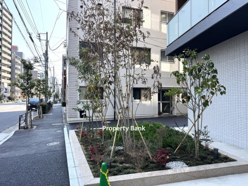 ウィステリアエス上野