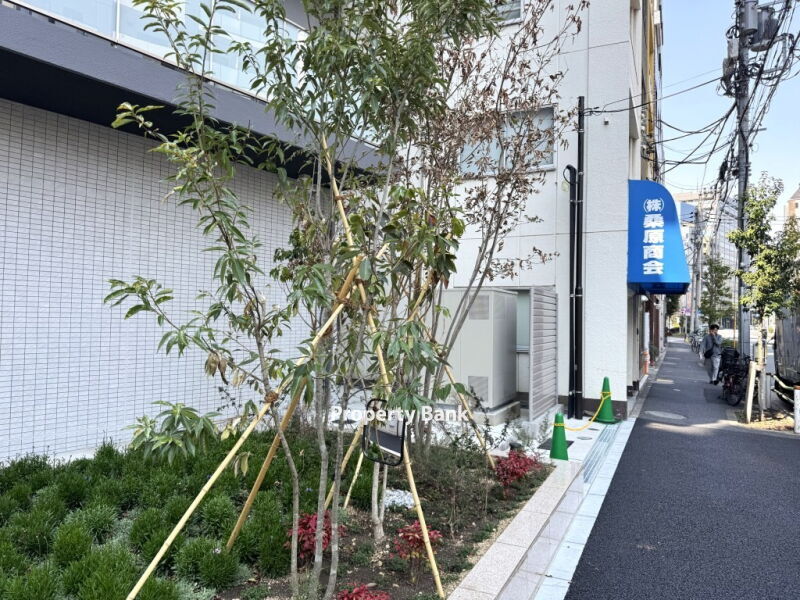ウィステリアエス上野
