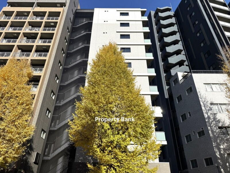 ブールバード白山