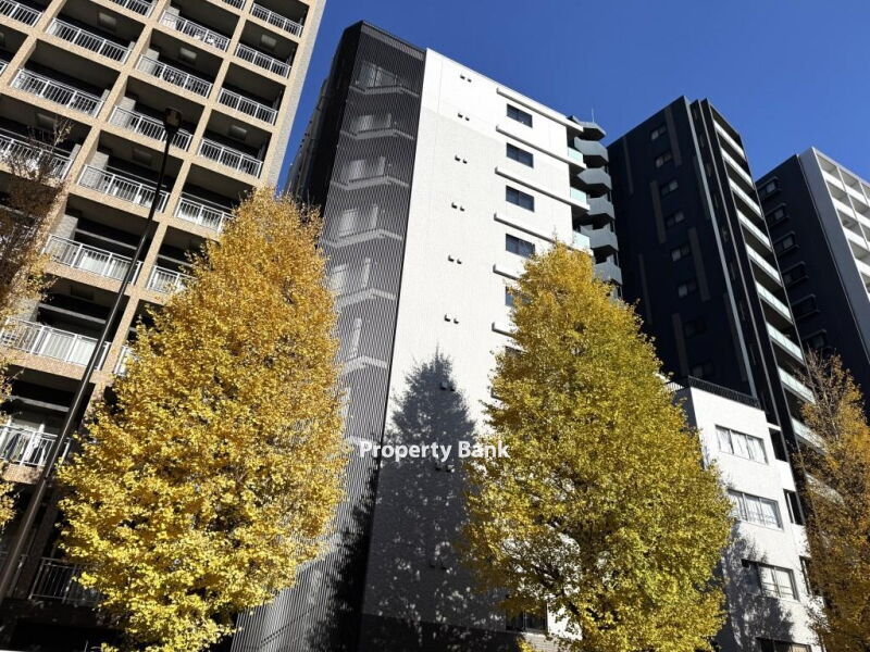 ブールバード白山