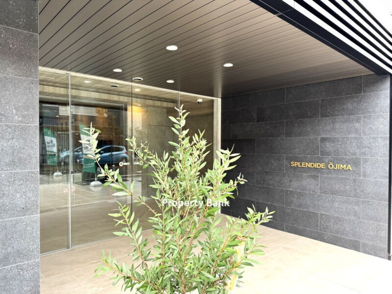 スプランディッド大島