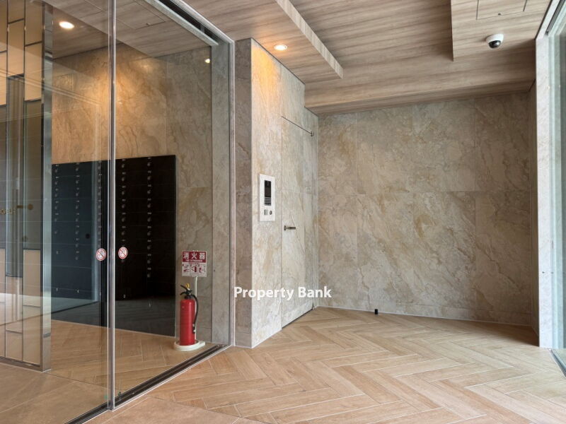 スプランディッド大島