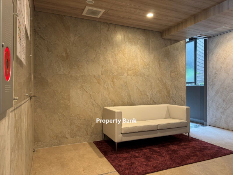 スプランディッド大島