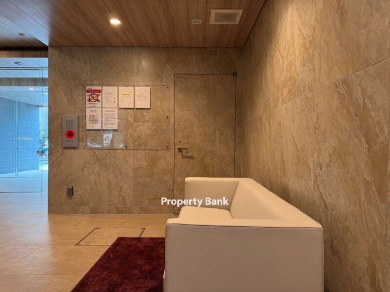 スプランディッド大島